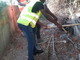 Ventimiglia: pulizie della città e volontariato civico, i ragazzi al lavoro per la piccola manutenzione