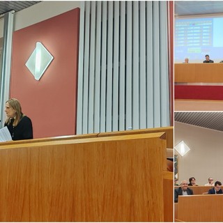 Ponte di Torri a Ventimiglia, "cosa intende fare l'Amministrazione per sopperire a situazione di pericolo?": l'interpellanza del Pd