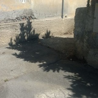 Bordighera: Via del Confine finalmente ripulita, i ringraziamenti di una nostra lettrice alla Polizia Municipale Bordighera: Via del Confine finalmente ripulita, i ringraziamenti di una nostra lettrice alla Polizia Municipale