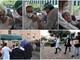 A due centenarie di Casa Rachele 'Zitomirski' di Vallecrosia i primi vaccini Covid per le RSA della provincia di Imperia (foto e video)