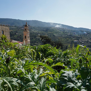 Vallebona, torna la Festa d'Autunno con la sua 38esima edizione
