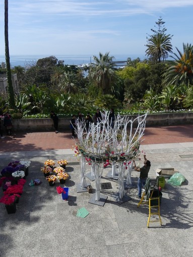 Sanremo: Villa Ormond in Fiore, tutto pronto per l'esposizione delle opere in programma nel weekend Sanremo: Villa Ormond in Fiore, tutto pronto per l'esposizione delle opere in programma nel weekend