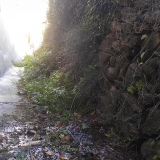 Imperia: incuria nella mulattiera comunale di via Ruggetto a Barcheto, l'appello dei residenti all'amministrazione (Foto)