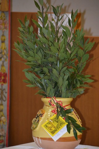 Ventimiglia: la tradizione non si ferma, la “Strena de Deinà” si sposta sul web Ventimiglia: la tradizione non si ferma, la “Strena de Deinà” si sposta sul web