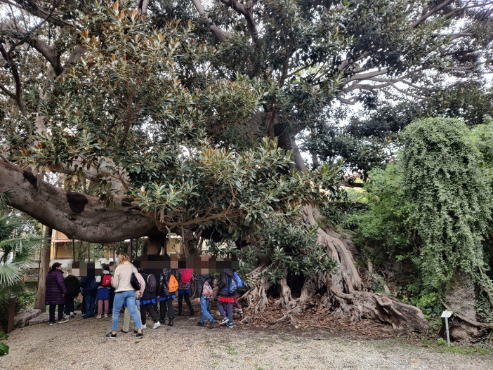 Bordighera: variazioni nell’orario di apertura al pubblico del Museo Biblioteca Clarence Bicknell Bordighera: variazioni nell’orario di apertura al pubblico del Museo Biblioteca Clarence Bicknell