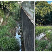 SìAmo Camporosso: "Effettuare intervento di verifica e di pulizia del territorio prima delle piogge autunnali" (Foto)