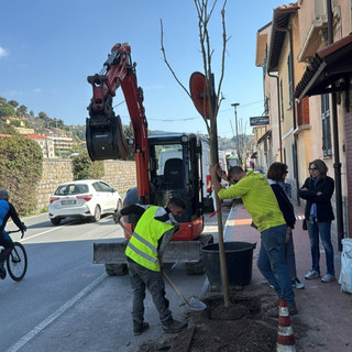 Riqualificazione in Corso Genova