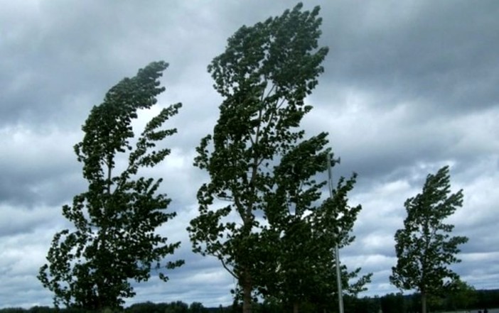 Liguria sotto temporali: allerta arancione su BCDE, gialla sul ponente ligure fino a giovedì mattina Liguria sotto temporali: allerta arancione su BCDE, gialla sul ponente ligure fino a giovedì mattina