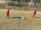 Calcio, sedute di perfezionamento tecnico per i giocatori della 'Vallecrosia Academy' (foto)