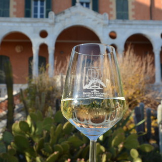 Ventimiglia: ‘Un mare di bianchi, di rossi e tante bollicine’, venerdì prossimo a Villa Hanbury assaggi di vini delle otto DOP liguri Ventimiglia: ‘Un mare di bianchi, di rossi e tante bollicine’, venerdì prossimo a Villa Hanbury assaggi di vini delle otto DOP liguri
