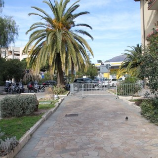 Taggia: iniziato l'intervento di rimozione di oltre 20 tronchi al Viale delle Palme (Foto) Taggia: iniziato l'intervento di rimozione di oltre 20 tronchi al Viale delle Palme (Foto)