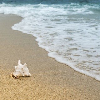 Scegliere tra mare e montagna per le vacanze: un dilemma di bellezze naturali e esperienze uniche