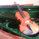 A Sanremo il workshop di Mountain Dulcimer: due giorni tra musica, apprendimento e performance finale