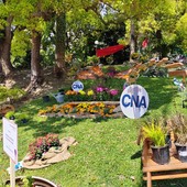 Fiori Digitali e giardini realizzati: una sinergia di creatività a Villa Ormond (Video e Foto)