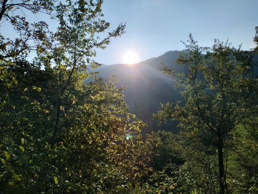 Progetto Comune si schiera con le associazioni per il "no" alla diga in valle Argentina Progetto Comune si schiera con le associazioni per il "no" alla diga in valle Argentina