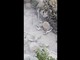 Terremoto a Pozzuoli, il costone crolla e travolge le auto