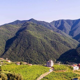 Riprendono gli appuntamenti dell'associazione “Arroscia Valle Slow”, si riparte con una passeggiata tra i vigneti Riprendono gli appuntamenti dell'associazione “Arroscia Valle Slow”, si riparte con una passeggiata tra i vigneti