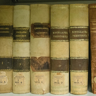 Bordighera, conclusa la catalogazione di 500 volumi rari della Biblioteca Bicknell Bordighera, conclusa la catalogazione di 500 volumi rari della Biblioteca Bicknell