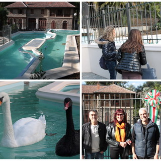 Sanremo: torna al suo massimo splendore la vasca dei cigni nel giardino di villa Ormond