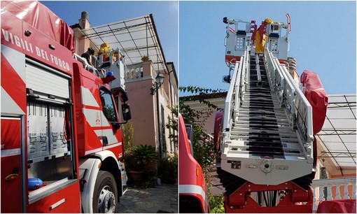 Vallecrosia, nido di vespe velutine: vigili del fuoco e protezione civile in azione (Foto) Vallecrosia, nido di vespe velutine: vigili del fuoco e protezione civile in azione (Foto)