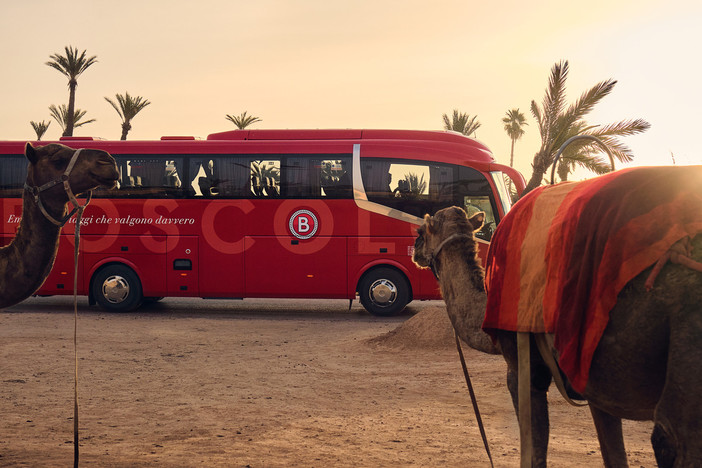 Viaggi di gruppo organizzati: cosa aspettarsi davvero?