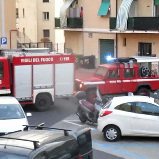 Imperia: due bambini intrappolati in un ascensore di piazza Mameli, sul posto i vigili del fuoco (foto e video) Imperia: due bambini intrappolati in un ascensore di piazza Mameli, sul posto i vigili del fuoco (foto e video)