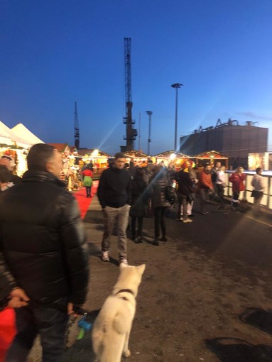 Nella foto gli assessori Oneglio e Gandolfo durante l'allestimento dello scorso anno Nella foto gli assessori Oneglio e Gandolfo durante l'allestimento dello scorso anno