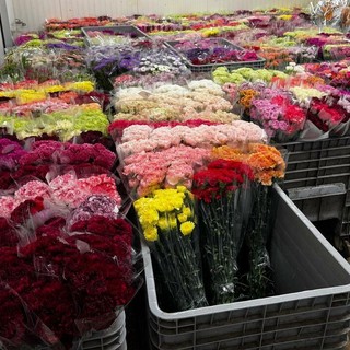 La Ditta Viglietti Sergio, Leader nell'Export Fiori e Fronde, ricerca Tre Figure Professionali da inserire nella sua sede di Sanremo