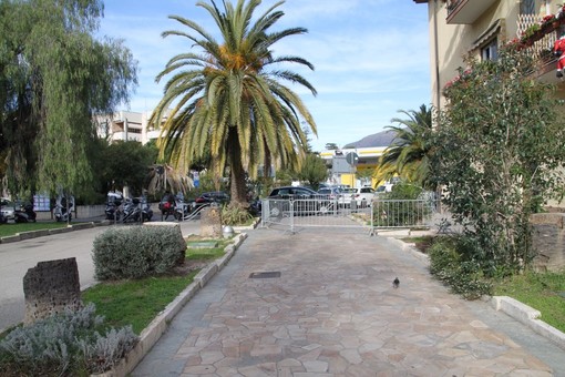 Taggia: iniziato l'intervento di rimozione di oltre 20 tronchi al Viale delle Palme (Foto) Taggia: iniziato l'intervento di rimozione di oltre 20 tronchi al Viale delle Palme (Foto)