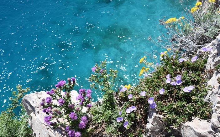 Sanremo: ‘Giardini ed orti mediterranei: come coltivare con poca acqua’, una conferenza dell'Unitrè