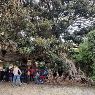 Bordighera: variazioni nell’orario di apertura al pubblico del Museo Biblioteca Clarence Bicknell