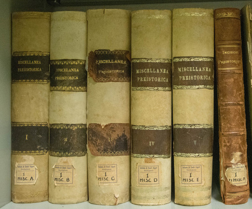 Bordighera, conclusa la catalogazione di 500 volumi rari della Biblioteca Bicknell Bordighera, conclusa la catalogazione di 500 volumi rari della Biblioteca Bicknell