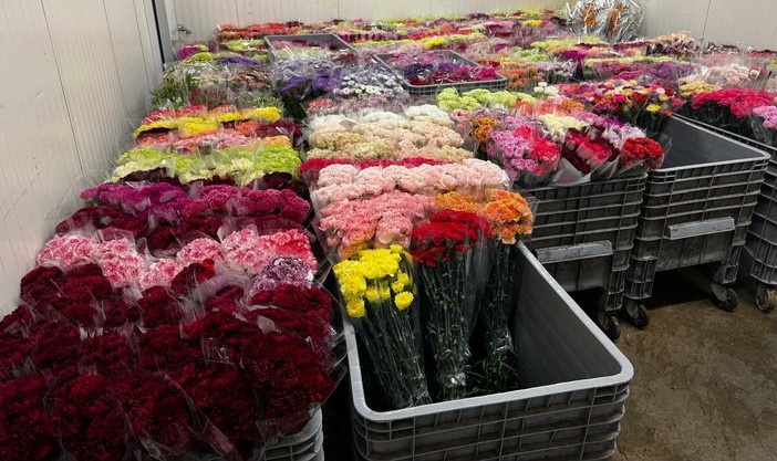 La Ditta Viglietti Sergio, Leader nell'Export Fiori e Fronde, ricerca Tre Figure Professionali da inserire nella sua sede di Sanremo