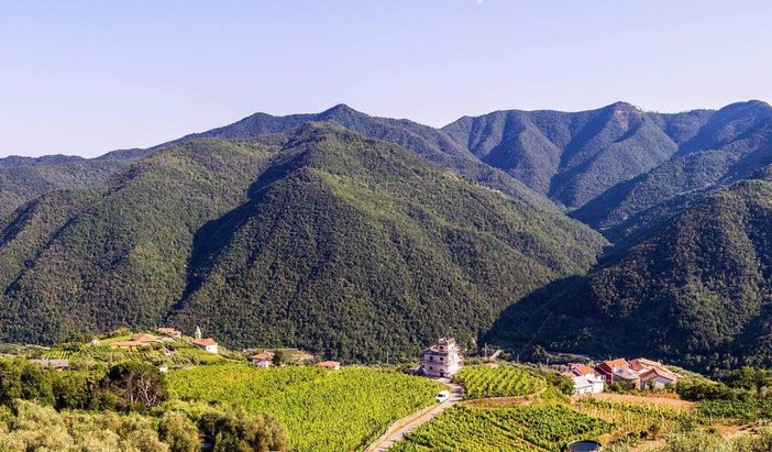 Riprendono gli appuntamenti dell'associazione “Arroscia Valle Slow”, si riparte con una passeggiata tra i vigneti