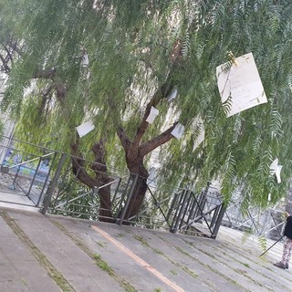 Sanremo, alla Pigna torna la diffusione della poesia del 'Vivaio del Verso' (foto)