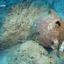 Il relitto più antico del mondo ha 4.700 anni: la scoperta nelle acque della Turchia