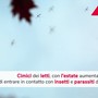 Cimici dei letti, in estate aumenta possibilità contatto