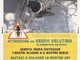 Ventimiglia: la Protezione Civile promuove la campagna informativa contro la Vespa Velutina, manifesti affissi dalle squadre di monitoraggio antincendio
