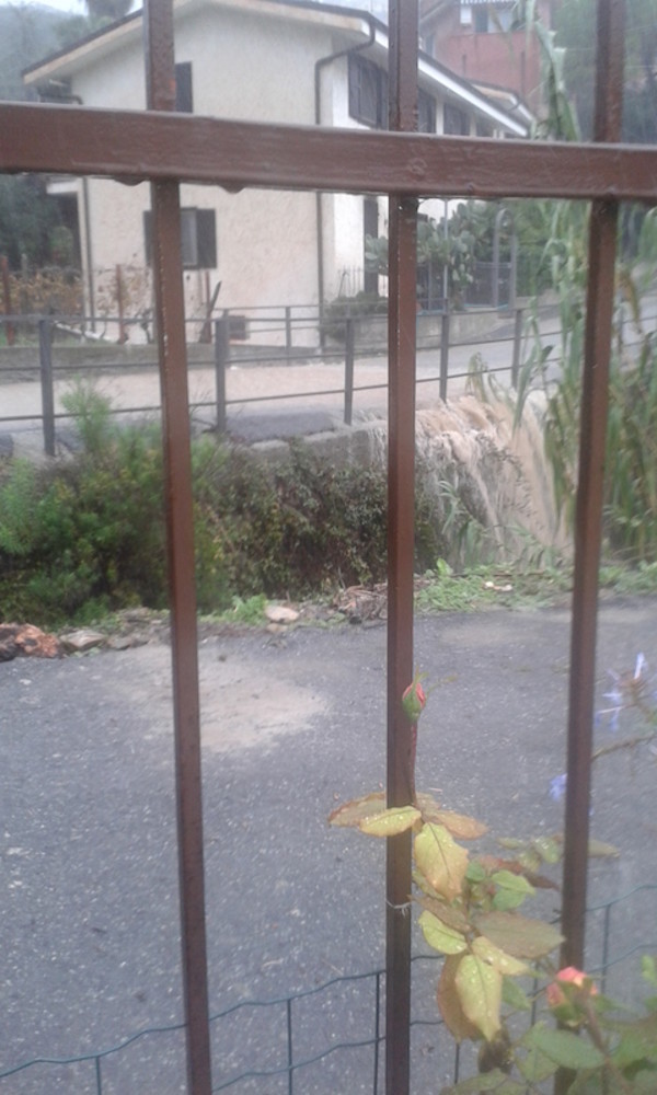 Diano Marina: torrente Varcavello ingrossato, lettrice ha paura che possa fare danni Diano Marina: torrente Varcavello ingrossato, lettrice ha paura che possa fare danni