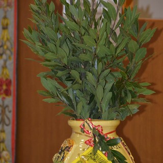 Ventimiglia: la tradizione non si ferma, la “Strena de Deinà” si sposta sul web