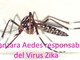 Virus Zika: c'è davvero da aver paura? Virus Zika: c'è davvero da aver paura?