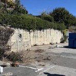 Potature a Ospedaletti, il Comune replica alle critiche: “Interventi necessari e nuove piantumazioni in arrivo” Potature a Ospedaletti, il Comune replica alle critiche: “Interventi necessari e nuove piantumazioni in arrivo”