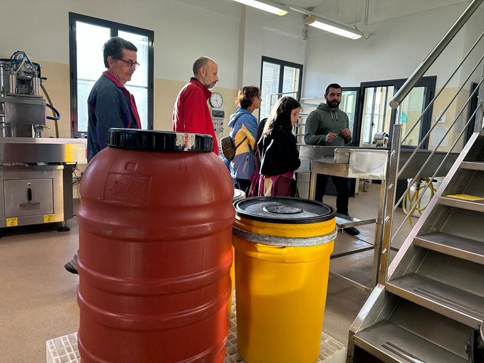 San Bartolomeo al Mare: in 40 in Borgata Richieri per scoprire i metodi di coltivazione dell’oliva taggiasca (foto) San Bartolomeo al Mare: in 40 in Borgata Richieri per scoprire i metodi di coltivazione dell’oliva taggiasca (foto)