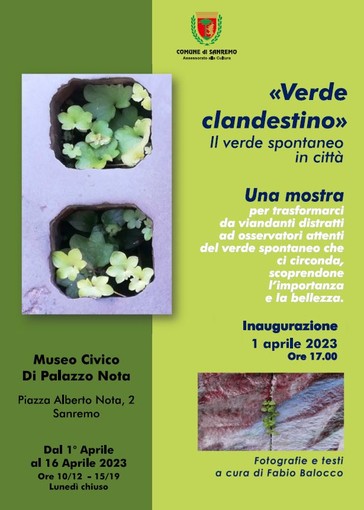 Sanremo: il ‘Verde Clandestino’ protagonista della mostra al museo civico di piazza Nota