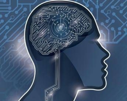 L'AI fa 'copia e incolla' dal cervello umano, così impara: la strategia della Statale di Milano L'AI fa 'copia e incolla' dal cervello umano, così impara: la strategia della Statale di Milano