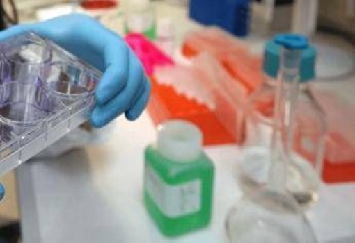 Colite ulcerosa, nuovi dati dallo studio Verdict su vedolizumab Colite ulcerosa, nuovi dati dallo studio Verdict su vedolizumab