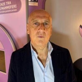 Farmaci, Agostiniani (Sip): "Contro Rsv nuova opportunità per pediatri" Farmaci, Agostiniani (Sip): "Contro Rsv nuova opportunità per pediatri"