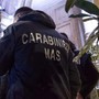 Violenze e abusi su anziane in Rsa nel Milanese, interdetti 3 operatori Violenze e abusi su anziane in Rsa nel Milanese, interdetti 3 operatori