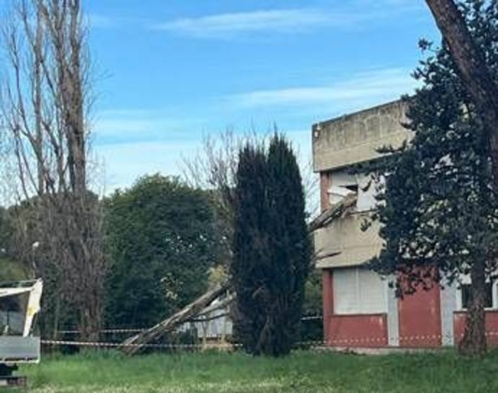 Paura a Roma, cade albero e sfonda finestra del liceo Orazio Paura a Roma, cade albero e sfonda finestra del liceo Orazio