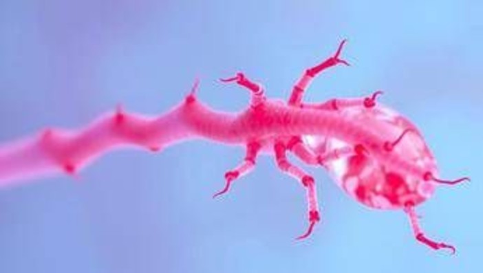 Miastenia, in Sardegna su mille pazienti stimati solo metà nel registro Miastenia, in Sardegna su mille pazienti stimati solo metà nel registro